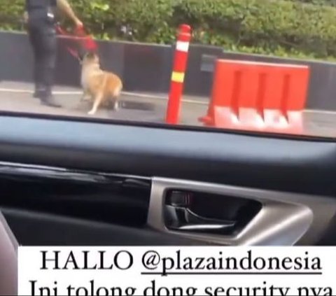 Outrageous Plaza Indonesia Security Guard Fired Because of Viral Video Hitting a Dog, How Much is His Salary?