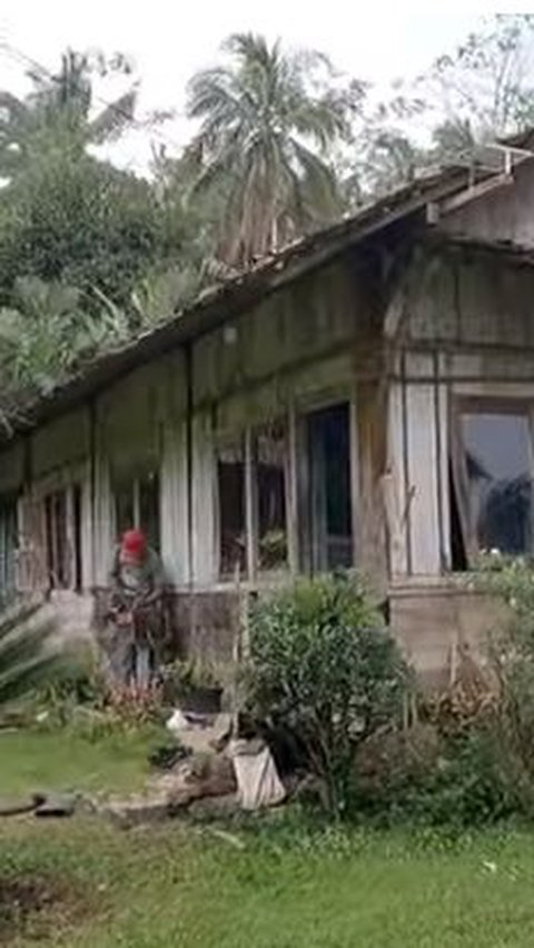 Pensiunan PNS Memilih Hidup & Tinggal di Tengah Hutan Bareng Sang Suami, Ini Alasannya