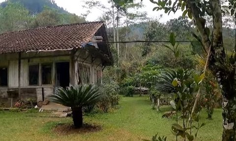 Pensiunan PNS Memilih Hidup & Tinggal di Tengah Hutan Bareng Sang Suami, Ini Alasannya