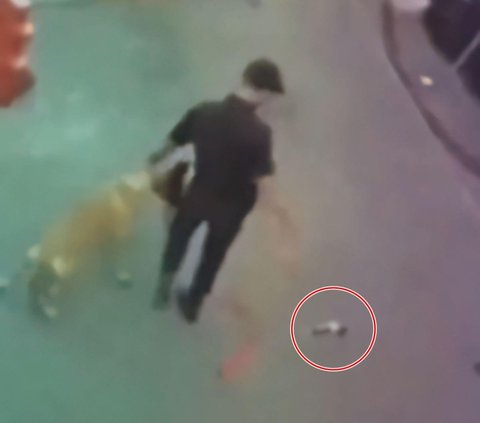 Original Habits of Plaza Indonesia Security Guards Beating Dogs Until Being Fired Revealed by Co-workers, Turns Out Not as Suspected