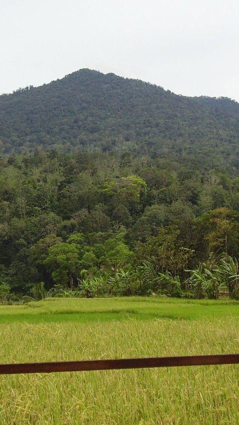 Jejak Masa Lalu Gunung Pulosari di Pandeglang, Pernah Jadi Pusat Pendidikan Era Zaman Kerajaan Hindu