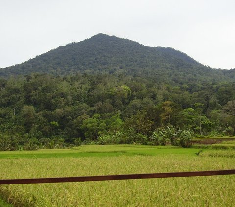 Jejak Masa Lalu Gunung Pulosari di Pandeglang, Pernah Jadi Pusat Pendidikan Era Zaman Kerajaan Hindu