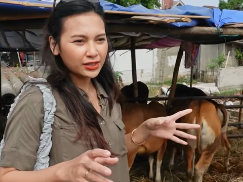 Indah Permatasari Istri Arie Kriting Buka Usaha Hewan Sapi 'Saya Sekarang Jadi Juragan Sapi'