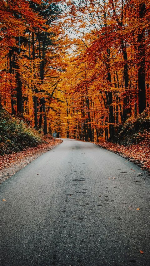 30 Quotes for Autumn that Capture the Magic of Fall | trstdly: trusted ...