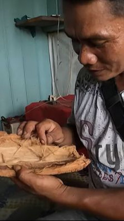 Sakit Asam Urat, Ibu Transmigrasi Pedagang Keliling Diberi Obat Tradisional Pakai Kulit Kayu Pemberian Orang Punan