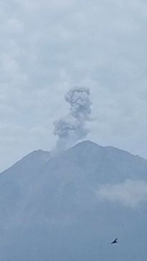 Gunung Semeru Berulang Kali Erupsi, Abu Vulkanik Terpantau Setinggi 900 Meter