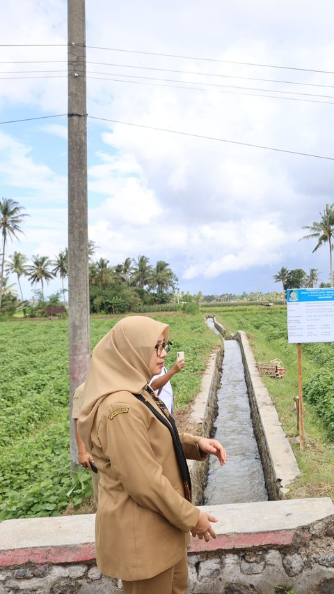 Banyuwangi Bangun dan Revitalisasi 123 Km Jaringan Irigasi dengan Skema Padat Karya