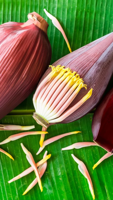 Cara Merebus Jantung Pisang dengan Garam<br>