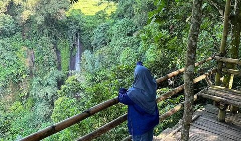 Trekking dengan Pemandangan Hutan Bambu