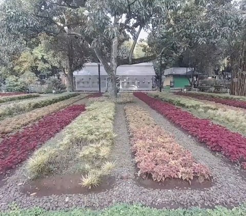 Menjelajah di Taman Balai Kota Bandung, Taman Tertua dengan Pemandangan Bunga Warna-warni dan Sungai Tengah Kota