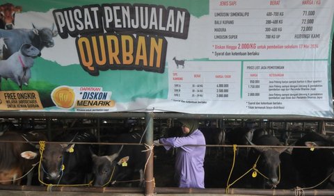 Jumlah tersebut cukup untuk memenuhi kebutuhan hewan kurban.