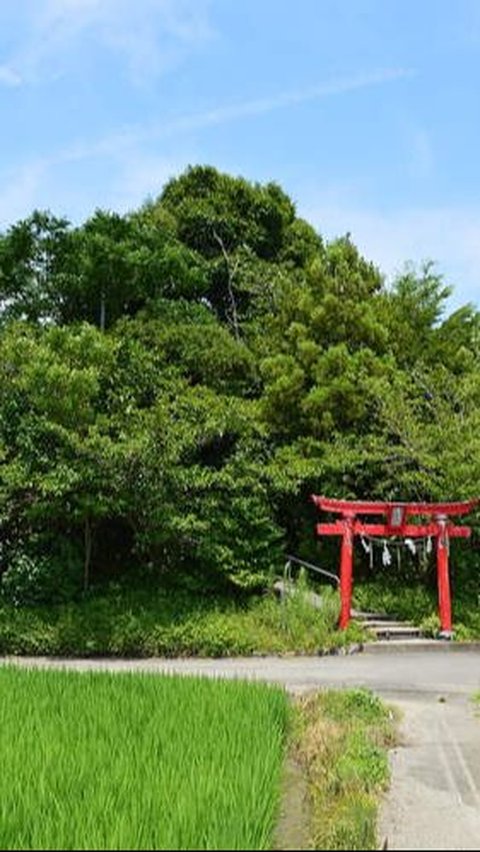 Lokasi Gunung Terpendek di Jepang<br>