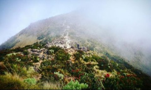 Pendakian Gunung Arjuno Dibuka Lagi Setelah Setahun Ditutup, Dibatasi 400 Pendaki