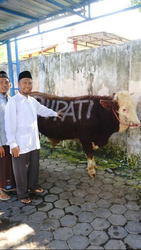 Pemkab Banyuwangi Salurkan 60 Hewan Kurban, Bupati Ipuk: Semoga Berkah