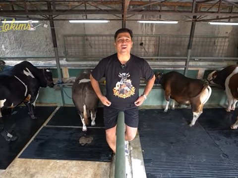 Penampakan 7 Sapi Jumbo Irfan Hakim di Momen Idul Adha Tahun ini, Sapi Paling Besar Bobotnya Bikin Melongo