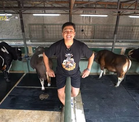 Penampakan 7 Sapi Jumbo Irfan Hakim di Momen Idul Adha Tahun ini, Sapi Paling Besar Bobotnya Bikin Melongo