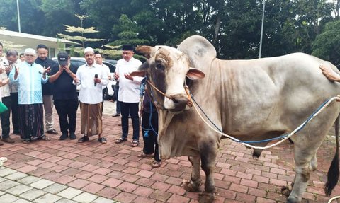 Prabowo Potong 38 Sapi Kurban di Hambalang