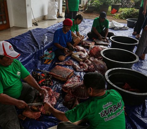 Setelah proses penyembelihan selesai, daging kurban kemudian dipotong-potong dan dikemas untuk didistribusikan kepada warga yang berhak menerimanya. Foto: Liputan6.com / Angga Yuniar<br>