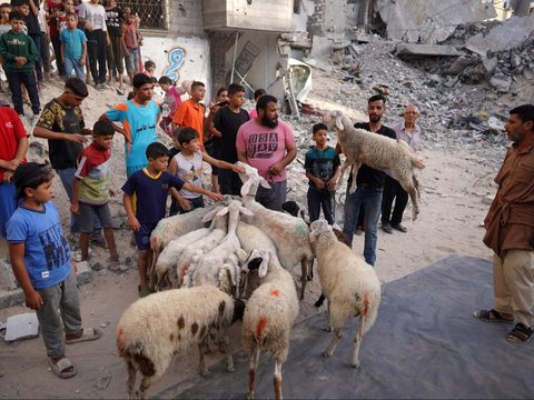 FOTO: Di Tengah Kekhawatiran Serangan Israel, Warga Palestina di Gaza Rayakan Iduladha dengan Berkurban Domba