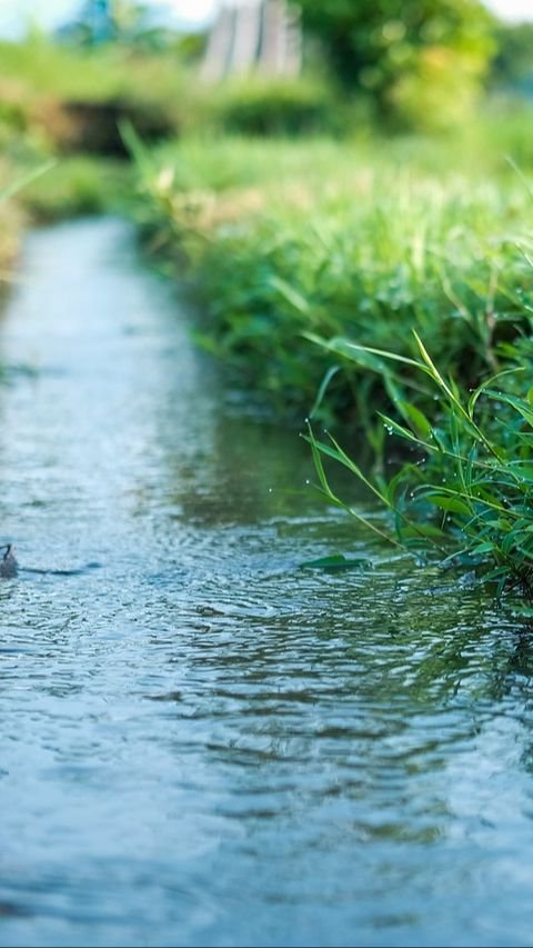 Bondar, Kearifan Lokal Masyarakat Tapanuli Selatan untuk Jaga Pengelolaan Air<br>