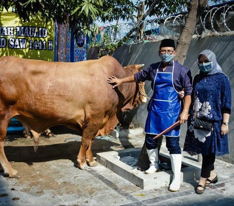 Program Pemberdayaan Usaha BRI: Peternak Kambing Ini Banjir Pembeli dari Berbagai Daerah