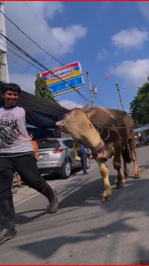 Keseruan Iduladha di Masjid Jogokariyan Jogja, Antar Hewan Kurban Pakai Aplikasi Mudah Tanpa Ribet