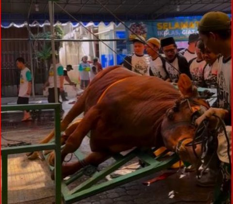 Keseruan Iduladha di Masjid Jogokariyan Jogja, Antar Hewan Kurban Pakai Aplikasi Mudah Tanpa Ribet