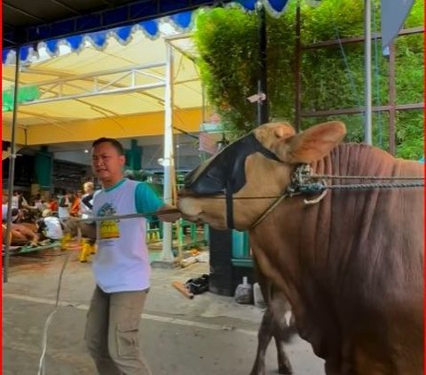 Keseruan Iduladha di Masjid Jogokariyan Jogja, Antar Hewan Kurban Pakai Aplikasi Mudah Tanpa Ribet