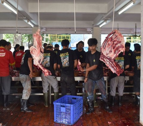 FOTO: Masjid Istiqlal Mulai Sembelih 72 Ekor Hewan Kurban, Ada Sapi Jokowi, Prabowo, Gibran hingga Megawati