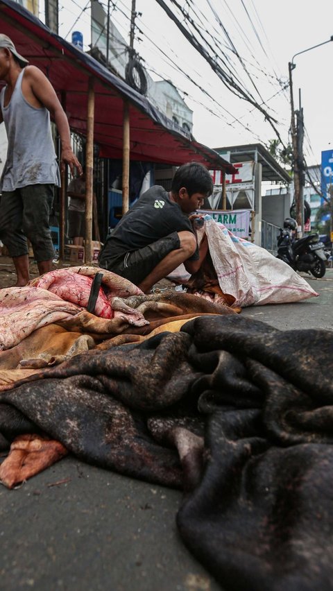 FOTO: Berkah Iduladha Bagi Pengepul Kulit Hewan Kurban di Tanah Abang<br>