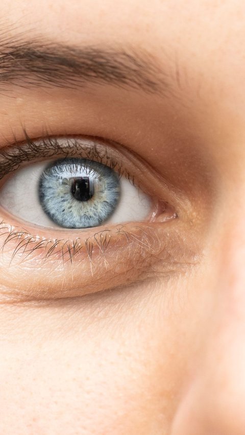 <b>Mengenal Glaukoma: Penyebab, Gejala, dan Cara Mencegahnya</b>