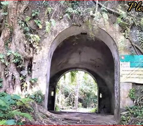 Lokasinya Tersembunyi, Begini Sensasi Berpetualang ke Pantai Pasir Putih Nusakambangan