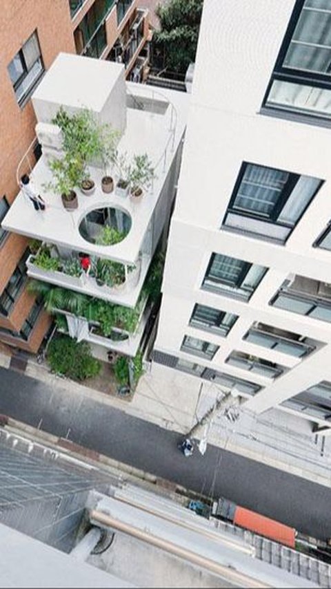 8 Ide Desain Taman di Atap Rumah yang Cantik dan Asri Alami