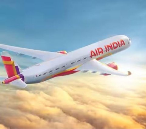 Terrifying! Almost Finished, Air India Passengers Escape Death After Finding Pieces of Razor Blades in Food Served on the Plane