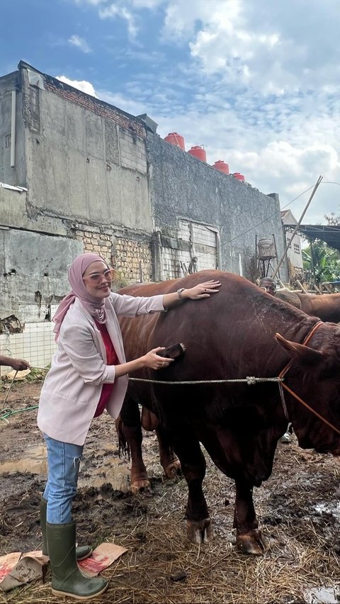 Lokasi penjualan hewan kurbannya itu berada Cilandak, Jakarta Selatan.