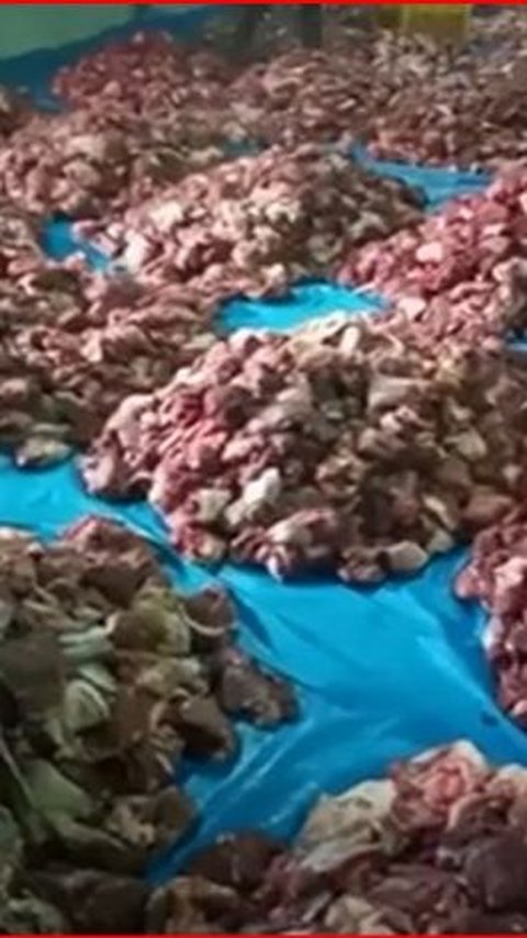 <b>Kisah Para Petani di Banjarnegara Menabung Rp10.000 Per Hari Demi Kurban Massal, Terkumpul 74 Sapi dan 293 Kambing</b><br>