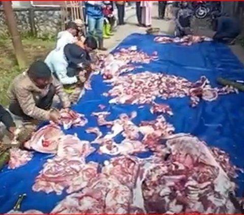 Kisah Para Petani di Banjarnegara Menabung Rp10.000 Per Hari Demi Kurban Massal, Terkumpul 74 Sapi dan 293 Kambing