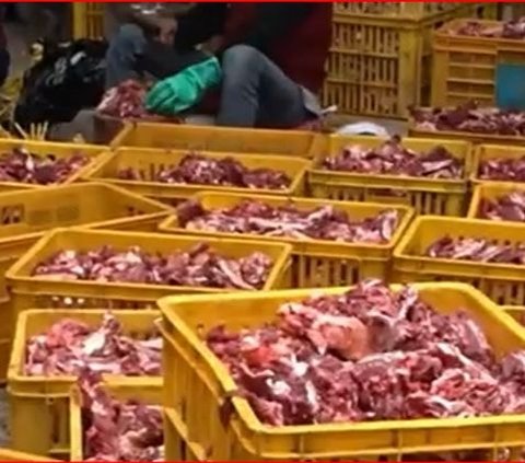 Kisah Para Petani di Banjarnegara Menabung Rp10.000 Per Hari Demi Kurban Massal, Terkumpul 74 Sapi dan 293 Kambing