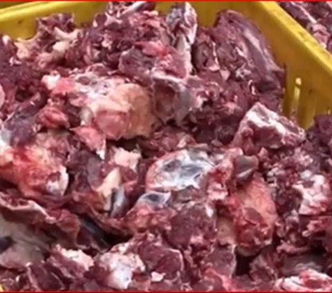 Kisah Para Petani di Banjarnegara Menabung Rp10.000 Per Hari Demi Kurban Massal, Terkumpul 74 Sapi dan 293 Kambing