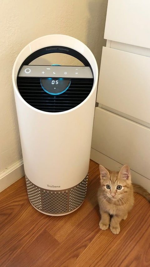 Gunakan <i>Air Purifier</i>