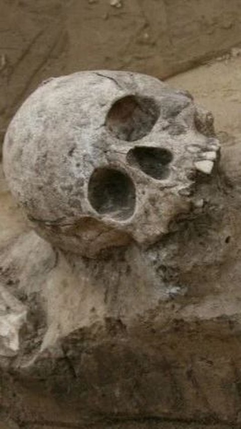 Arkeolog Temukan Makam Dua Bocah Laki-Laki Berusia 1.600 Tahun, Dikubur Bersama Hewan dan Perhiasan Emas