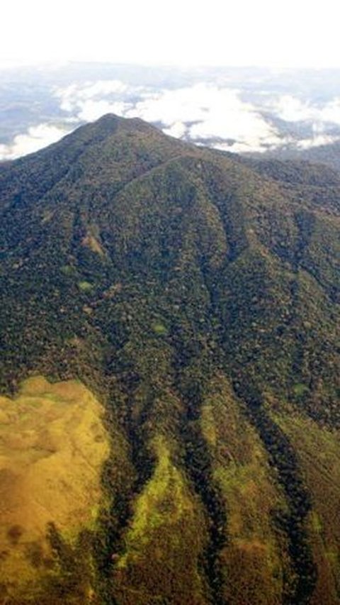 Jadi Kawasan Penyangga Ekosistem Leuser, Intip Fakta Menarik Gunung Seulawah Agam di Aceh Besar<br>