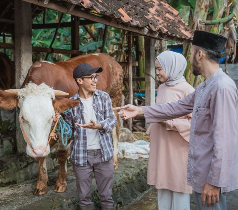 Segini Biaya dan Lokasi RPH Pembayaran Dam Jemaah Haji, Hasil Potong Bisa Dibawa ke Indonesia