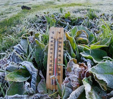 Suhu Mencapai Minus Satu Derajat Celsius, Begini Kondisi Dieng yang Kembali Membeku