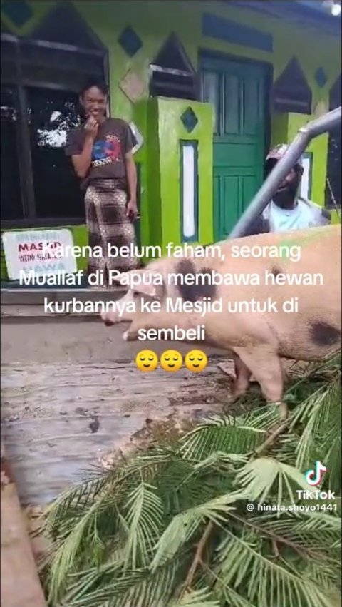 Viral Mualaf di Papua Bawa Babi ke Masjid untuk Kurban, Niat Baiknya Tuai Pujian