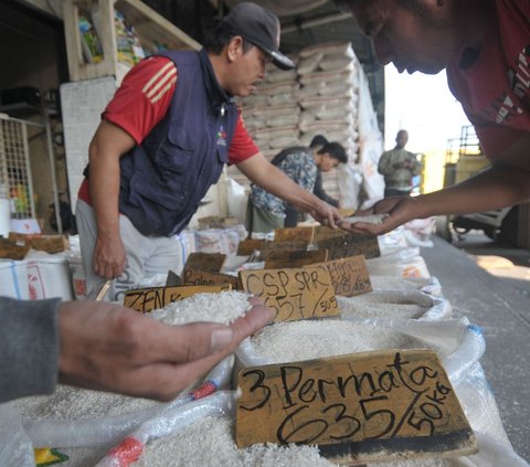 Pedagang eceran beras memilih jenis beras di Pasar Induk Beras Cipinang, Jakarta, Kamis (20/6/2024). Harga komoditas pangan di Indonesia terpantau mengalami kenaikan yang signifikan pada pagi ini. Foto: merdeka.com / Imam Buhori<br>