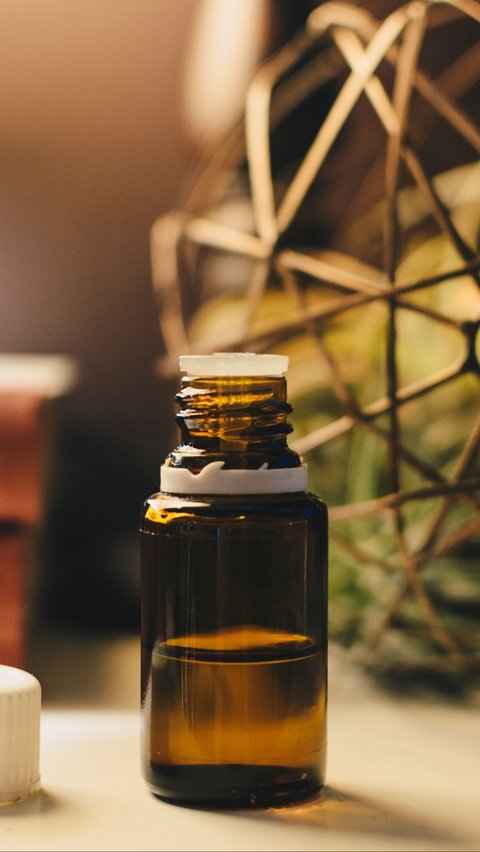 <b>Mengenal Apa Itu Argan Oil</b>