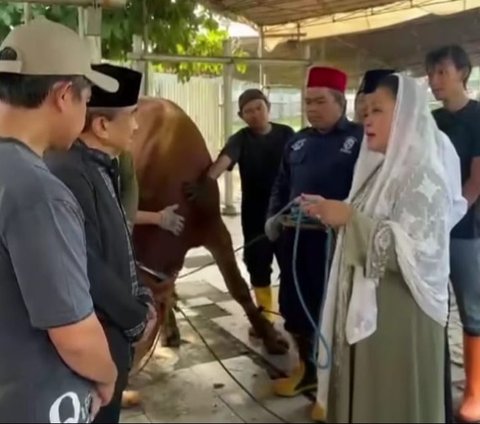 Potret Titiek Soeharto merayakan Idul Adha 1445 Hijriah dengan salat ied dan penyerahan sapi kurban.