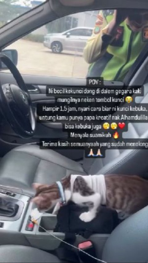 Tingkah Kucing Membuat Mobil Terkunci dari Dalam dan Menyebabkan Momen Lucu