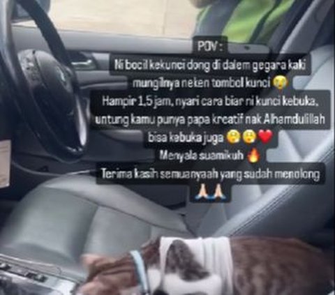 Momen Lucu Mobil Terkunci dari Dalam Gara-Gara Tingkah Kucing